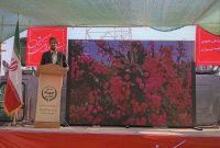 زندگی ۲۵۰ هزار نفر در خراسان جنوبی به زرشک وابسته است