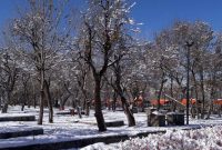 سرما و باران در نیمه شمالی کشور/ بارش برف در ارتفاعات شمال غرب
