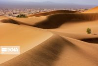 سطح فرسایش بادی اراضی کشور ۱۰ میلیون هکتار افزایش یافت