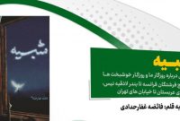 «شبیه» رمانی که از نیس فرانسه تا تجریش را روایت میکند «شبیه» رمانی که از نیس فرانسه تا تجریش را روایت میکند