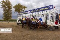 شروع فصل جدید کورس اسبدوانی گنبدکاووس به تعویق افتاد