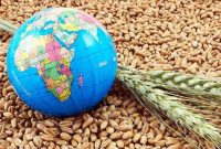 صندوق‌بین‌المللی پول: ۴۸ کشور در خطر بحران غذا قرار دارند