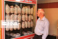 عرضه گوشت مرغ با قیمت مصوب ۶۳ هزار تومان در بازار
