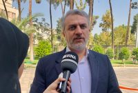 فاطمی امین: ثبت سفارش واردات خودرو آغاز شد/ به استیضاح نگاه مثبت دارم