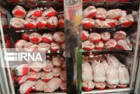 قیمت مرغ باز هم از قفس تنظیم بازار کرمان پرید