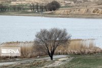 مدیرکل حفاظت محیط زیست آذربایجان‌شرقی: شرایط تالاب‌های استان نامناسب است