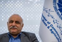 مقابله با مافیای خودروسازی و فولاد در وزارت صمت/ نمایندگان مجلس حامی صنایع کوچک هم باشند