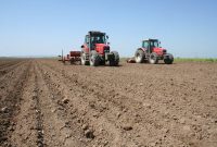 کشاورزان گلستان برای قرارداد کشت پاییزه اقدام کنند/ تداوم حمایت از تولید در دیمزارها