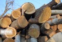 افزون بر ۲۱ تُن چوب قاچاق در خراسان‌شمالی کشف شد 