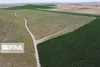 افزون‌بر ۳ هزار طرح کشاورزی در کردستان وام بانکی دریافت کردند