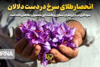 انحصار طلای سرخ در دست دلالان انحصار طلای سرخ در دست دلالان