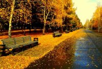 بارش برف و باران در نقاط مختلف کشور/ سرما‌ روزهای آینده بیشتر می‌شود