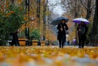 بررسی بارش باران در کشور طی 52 روز گذشته/ بوشهر در صدر استان‌های پربارش