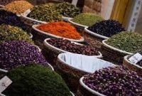 بیش از ۲۰ درصد گیاهان دارویی کشور در حال انقراض است