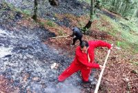 بیش از ۳ هکتار عرصه های جنگلی  غرب مازندران در آتش سوخت