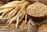 تداوم رشد قیمت کالاهای اساسی/ تب قیمت‌های جهانی  کم می شود؟