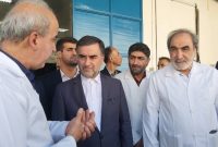 تولید آنتی‌بیوتیک در شرکت سرمایه‌گذاری دارویی تامین اجتماعی هشت برابر شد