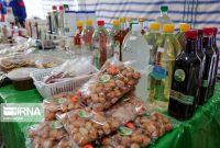 صدور مجوز آنی متقاضیان مشاغل خانگی، از درگاه ملی امکان‌پذیر است