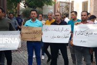 معاون استاندار بوشهر: حل مشکل گوجه‌کاران این استان  در دست پیگیری است