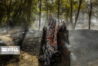 هشدار هواشناسی گلستان درباره احتمال آتش‌سوزی در جنگل‌های هیرکانی