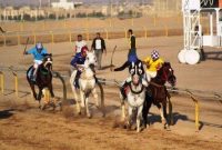 هفته پنجم مسابقات اسبدوانی کورس پاییزه کشور در یزد برگزار شد