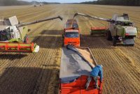 پاکستان قرارداد واردات ۳۰۰ هزار تن گندم از روسیه را امضا کرد