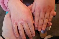 فاجعه زیست‌محیطی و انتشار مواد شیمیایی در اوهایو آمریکا