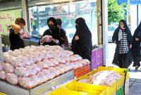 اسدالله نژاد: قیمت ۶۳ هزار تومانی مرغ غیر منطقی و منجر به ضرر مرغداران می‌شود