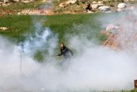 شهادت یک فلسطینی و زخمی شدن ده‌ها نفر دیگر در کرانه باختری