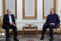 تجلیل امیرعبداللهیان از مقاومت قهرمانانه ملت فلسطین در برابر تجاوزات صهیونیستها تجلیل امیرعبداللهیان از مقاومت قهرمانانه ملت فلسطین در برابر تجاوزات صهیونیستها