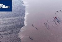 آغاز «پیادهروی اربعین» در بین بهترین عکسهای هفته گاردین آغاز «پیادهروی اربعین» در بین بهترین عکسهای هفته گاردین