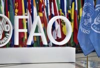 ازبکستان میزبان نشست بین المللی امنیت غذایی