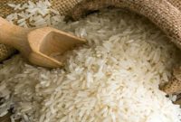 برنج مازاد در استان‌های گیلان و مازندران خریداری می‌شود