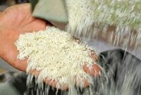 قیمت جهانی برنج در قله 15 سال گذشته