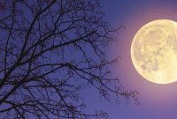 ماه آبی چیست و چه زمانی اتفاق می‌افتد؟
