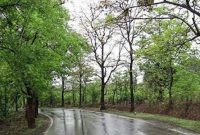 برنامههای سازمان منابع طبیعی برای بارشهای فرانرمال در حال تدوین است برنامههای سازمان منابع طبیعی برای بارشهای فرانرمال در حال تدوین است
