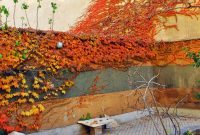 تنفس هوای مطلوب طی ۱۵ روز نخست پاییز در تهران