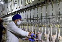 حقوق ناظران بهداشتی کشتارگاه‌ها را از این پس وزارت جهاد می‌پردازد