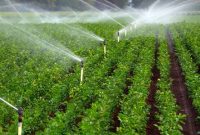 مجلس وزارت جهاد کشاورزی را مکلف به بهره‌برداری از سامانه هوشمند آبیاری کرد