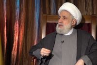 شیخ نعیم قاسم: کشورهای عربی تنها با ارسال غذا برای مردم غزه خود را معاف نکنند